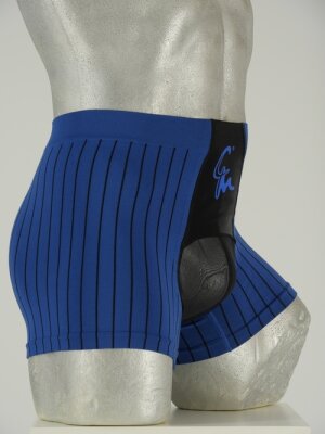 blau_gestreift